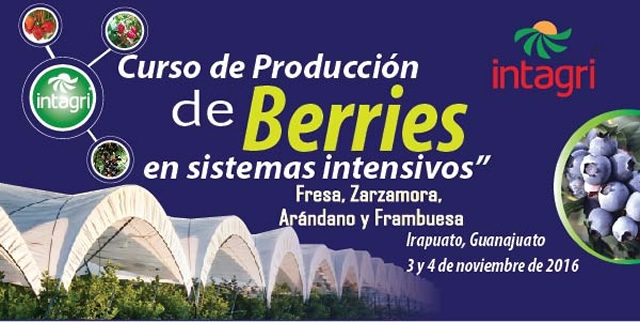 Producción de berries en sistemas intensivos