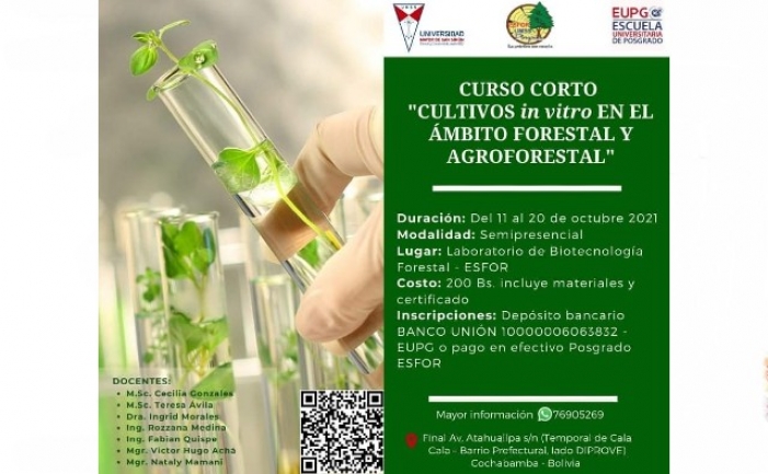 Curso corto: Cultivos in vitro en el ámbito forestal y agroforestal