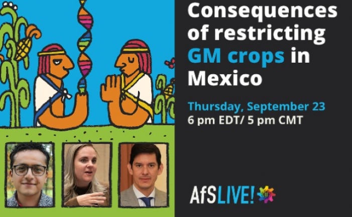 Consecuencias de restringir los cultivos transgénicos en México