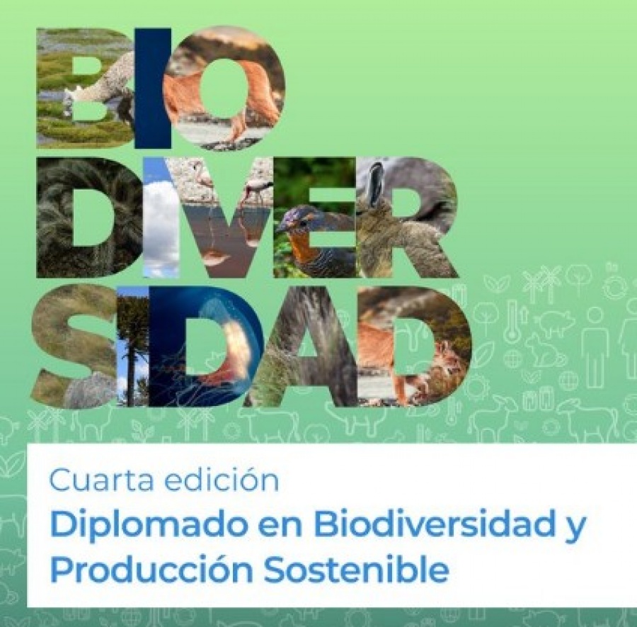 Diplomado “Biodiversidad y Producción Sostenible: conservación y enfoque territorial”