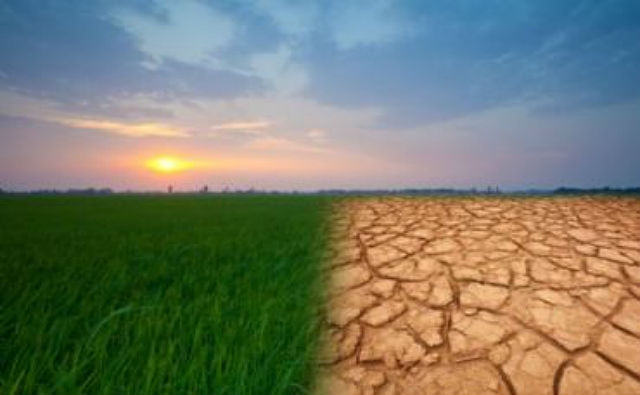 Los fertilizantes como parte de la solución al cambio climático