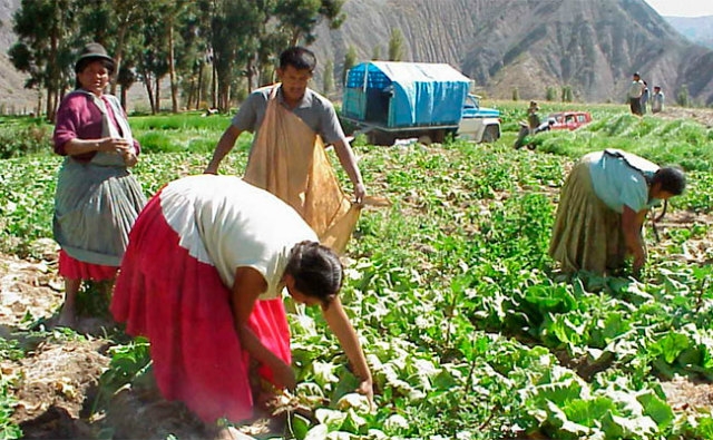 Bolivia: Lanzan Sistema de Alerta Temprana para los cultivos