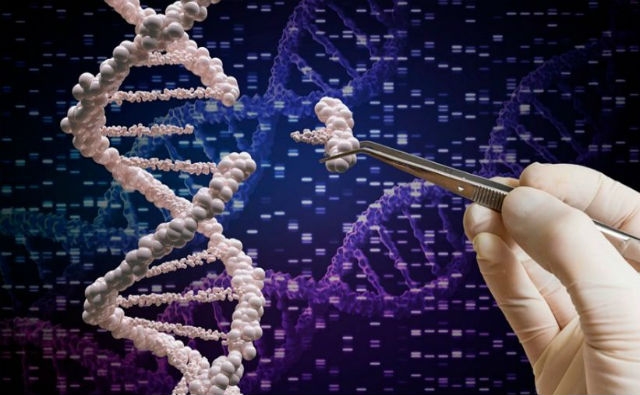 7 fascinantes cosas que la ciencia ha logrado con la edición genética CRISPR