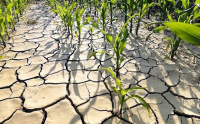 Cambios del clima y la agricultura