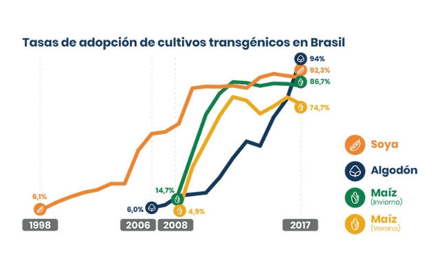 Brasil: En 20 años de transgénicos, los agricultores son los más beneficiados