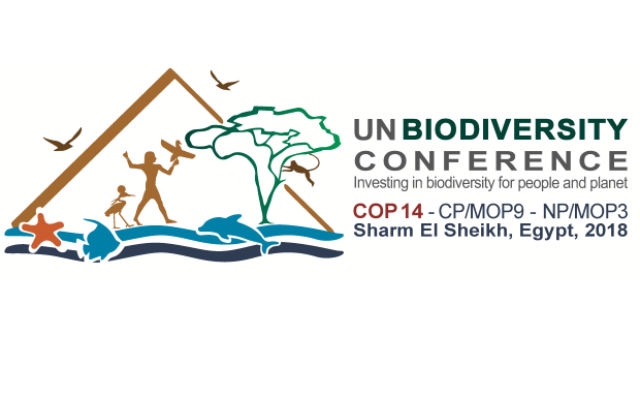 Ciencia e innovación en riesgo en la próxima Conferencia de Biodiversidad de la ONU