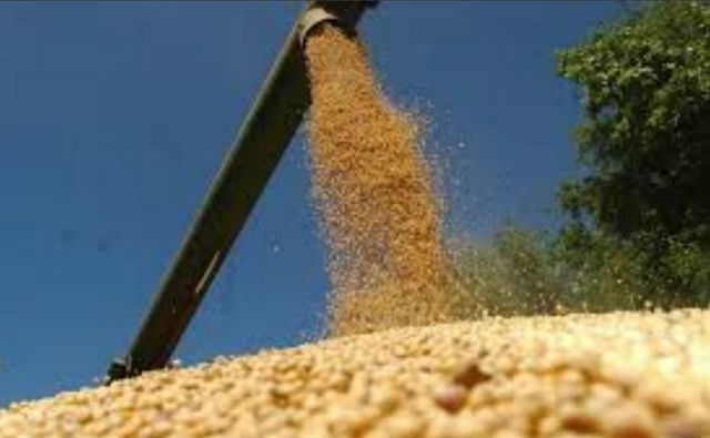 En guerra comercial con EE.UU., China empuja las ventas de la soja argentina