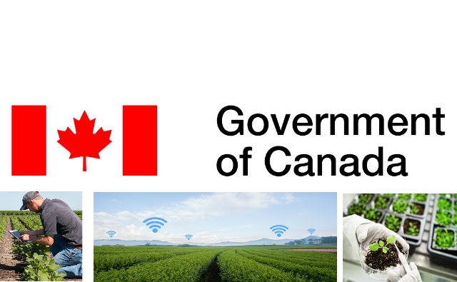 Canadá lanza concurso de agrotecnología