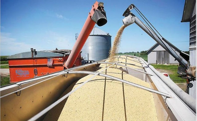 La Argentina, el tercer exportador mundial de maíz