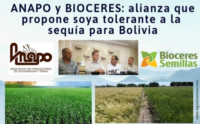 ANAPO y BIOCERES proponen soya biotecnológica tolerante a la sequía