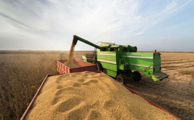 Nuevos recortes para la cosecha brasilera otorgan sustento al precio de la soya