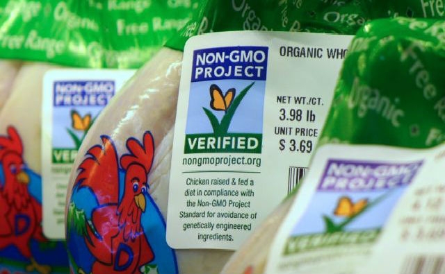 La FDA podría dejar fuera del negocio al Proyecto Libre de OGM