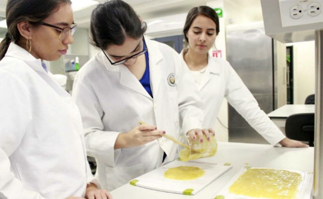 Estudiantes Mexicanas crean bioplástico a base de cáscara de mango