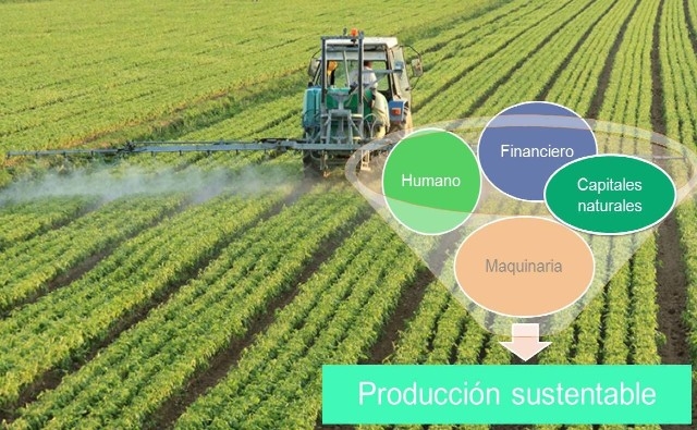 Prácticas de manejo sustentables en los sistemas de producción agrícola argentinos