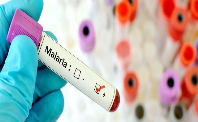 China está libre de malaria, dice la Organización Mundial de la Salud