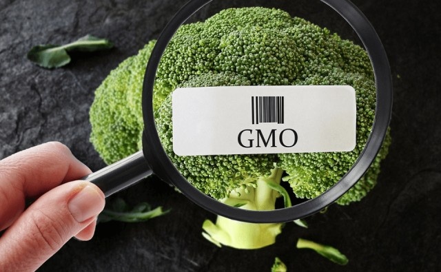 Cómo y por qué la edición de genes enfrenta menos regulaciones globales que los OGM