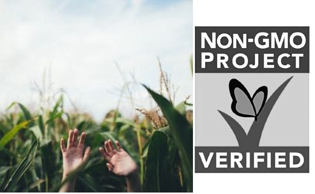 Cultivos tolerantes a la sequía: una historia que el proyecto No-OGM odia