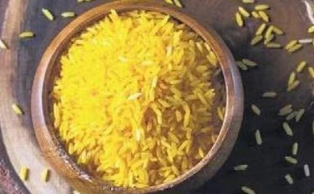 Organismo internacional de arroz buscará aprobación para el uso de Golden Rice en India