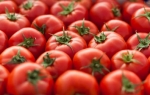 Producen con CRISPR tomates mejorados con provitamina D3