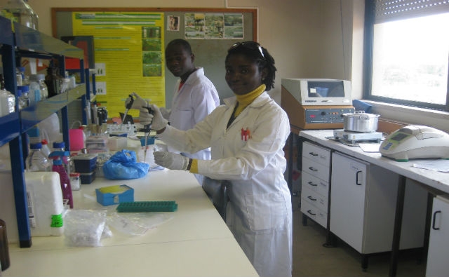 Informe refleja el crecimiento de la investigación biotecnológica en los países en vías de desarrollo