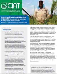 Reconociendo a las mujeres del arroz en Colombia: Un paso para las tecnologías de mitigación al cambio climático