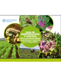 Guía de identificación y control de las principales plagas que afectan a la quinua en la zona andina    