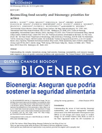 Bioenergía: Aseguran que podría sostener la seguridad alimentaria