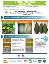 3er. Informe fitosanitario del cultivo de soya -  Campaña 2019/20