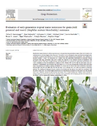 Evaluación de cruces de prueba de maíz tropical de generación temprana para determinar el potencial de rendimiento de grano y la resistencia al gorgojo (Sitophilus zeamais Motschulsky)
