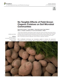 Sin efectos tangibles de las papas cisgénicas cultivadas en el campo en las comunidades microbianas del suelo