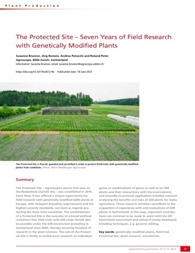 Sitio Protegido: Siete años de investigación de campo con plantas modificadas genéticamente