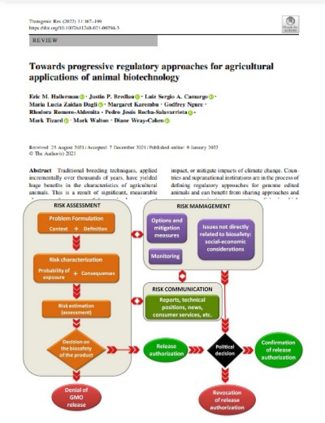 Hacia enfoques normativos progresivos para las aplicaciones agrícolas de la biotecnología animal