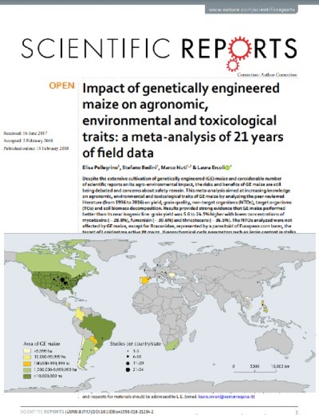 Impacto del maíz modificado genéticamente en las características agronómicas, ambientales y toxicológicas: Un metanálisis de 21 años de datos de campo