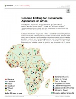 Edición del genoma para la agricultura sostenible en África