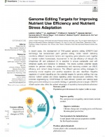 Objetivos de edición del genoma para mejorar la eficiencia en el uso de nutrientes y la adaptación al estrés por nutrientes