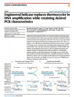 La helicasa diseñada reemplaza al termociclador en la amplificación de ADN mientras conserva las características de PCR deseadas