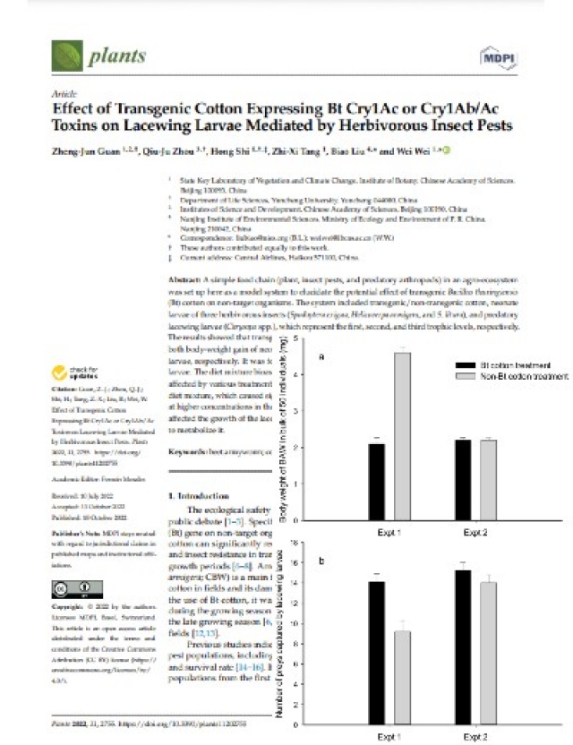 Efecto del algodón transgénico que expresa toxinas Bt Cry1Ac o Cry1Ab/Ac en larvas de crisopa mediadas por plagas de insectos herbívoros