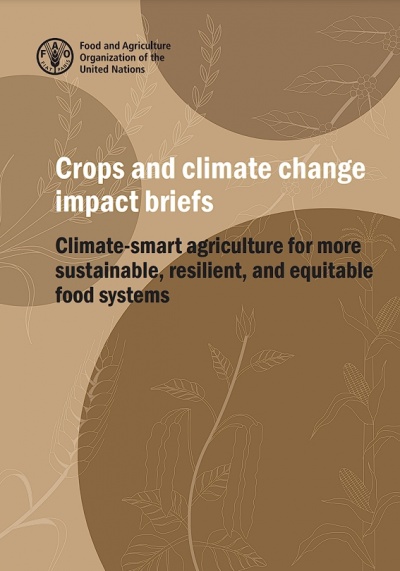 Informes sobre el impacto de los cultivos y el cambio climático