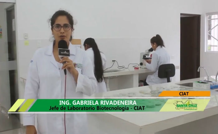 Conociendo un poco más del Laboratorio de Biotecnología del CIAT - Bolivia