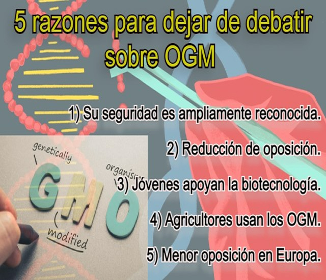 5 razones para dejar de debatir sobre OGM 