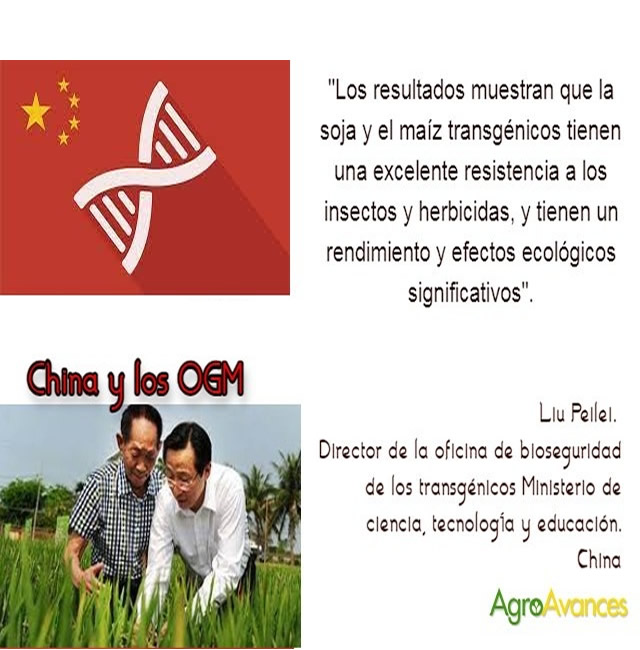 China y los OGM