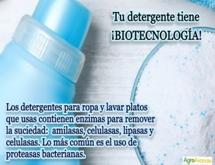 Biotecnología en tu detergente