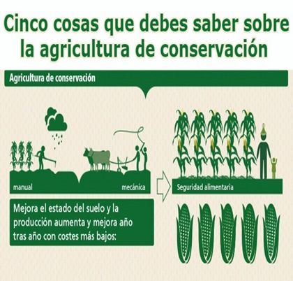 Cinco cosas que debes saber sobre la agricultura de conservación