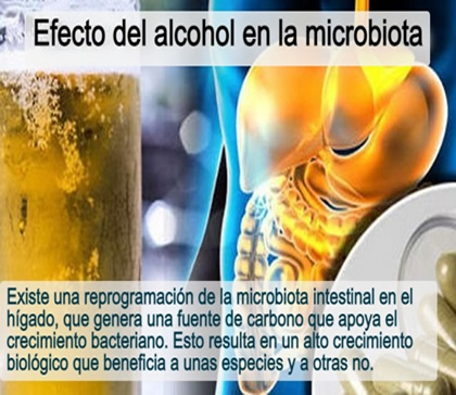 Efecto del alcohol en la microbiota