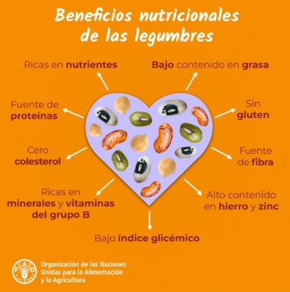 Beneficios nutricionales de las legumbres