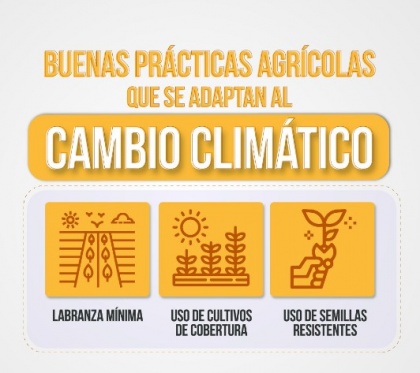 Cómo adaptar la agricultura al cada vez más evidente cambio climático
