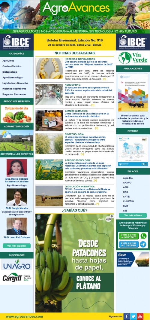 Boletín Bisemanal, Edición No. 916