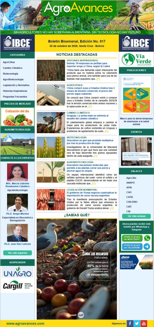 Boletín Bisemanal, Edición No. 917