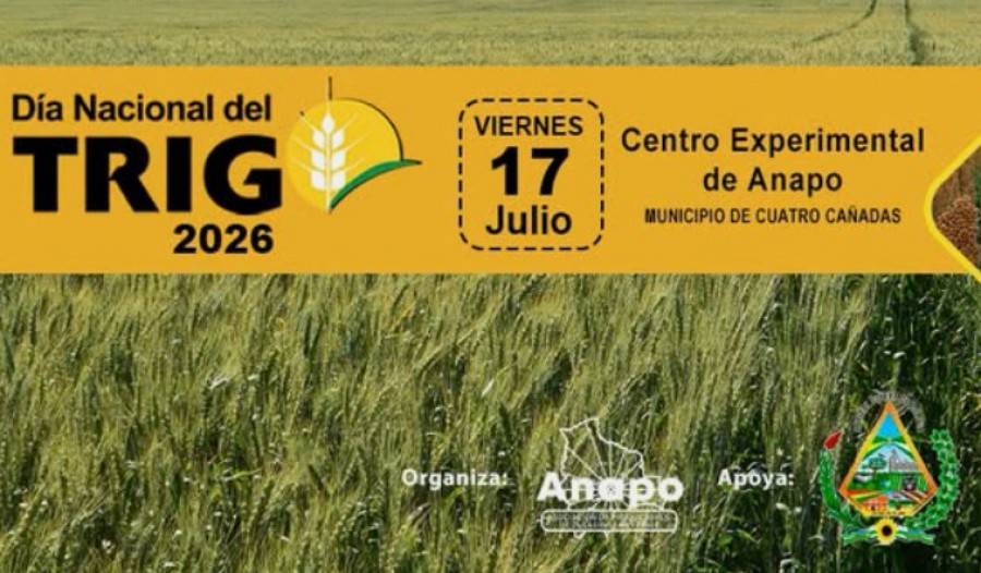 Día Nacional del Trigo