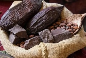 Primer Encuentro Nacional del Cacao Silvestre Boliviano